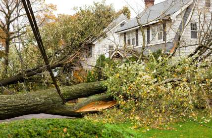 Storm damage restoration in Medina by Northwest Restoration